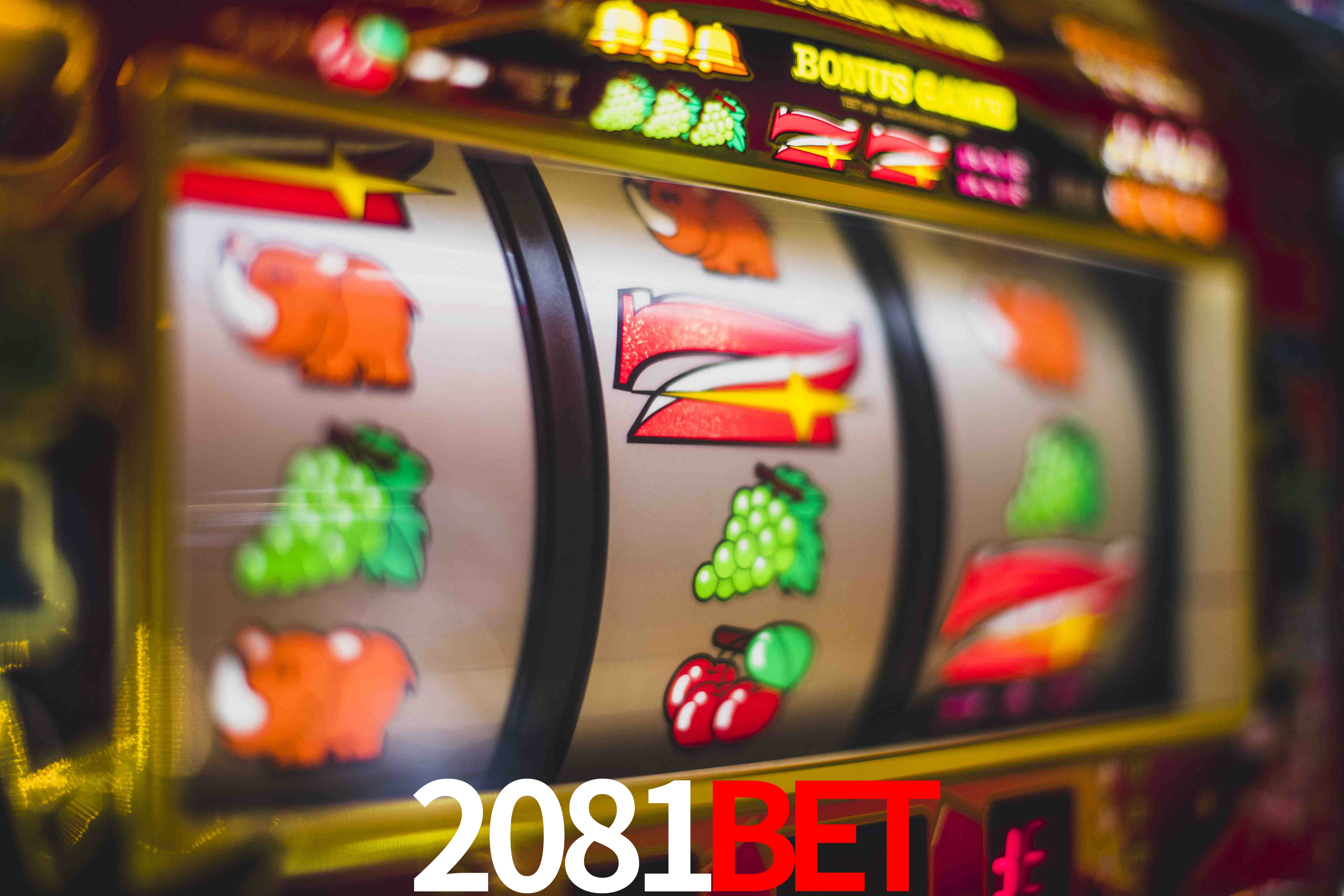 VIP Casino 2081Bet